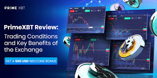 Limit vs Market PrimeXBT 3 Limit vs Market PrimeXBT 3